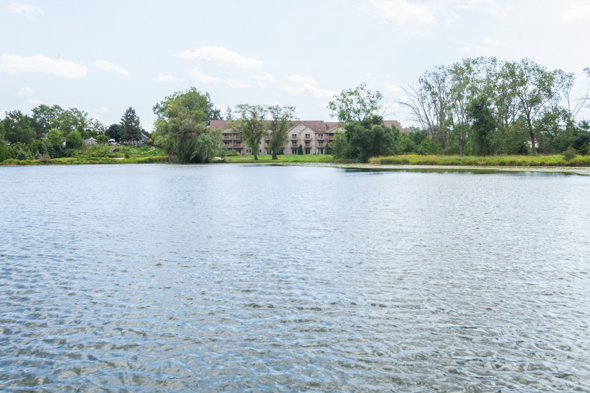 A tranquil lake scene with a building in the background surrounded by trees.