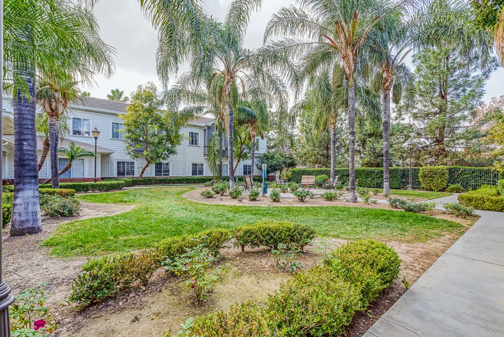 A well-maintained garden with palm trees and shrubs in an apartment complex.