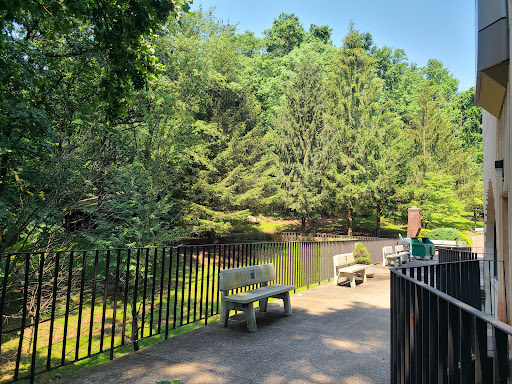 A peaceful park setting featuring benches by a tranquil pond surrounded by lush greenery.