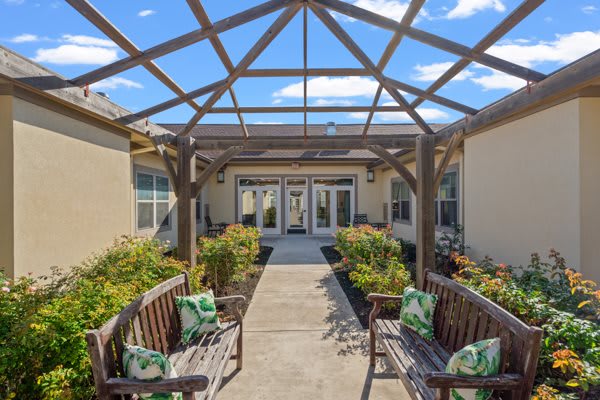 A sunny garden walkway with a wooden pergola and benches leading up to glass doors.