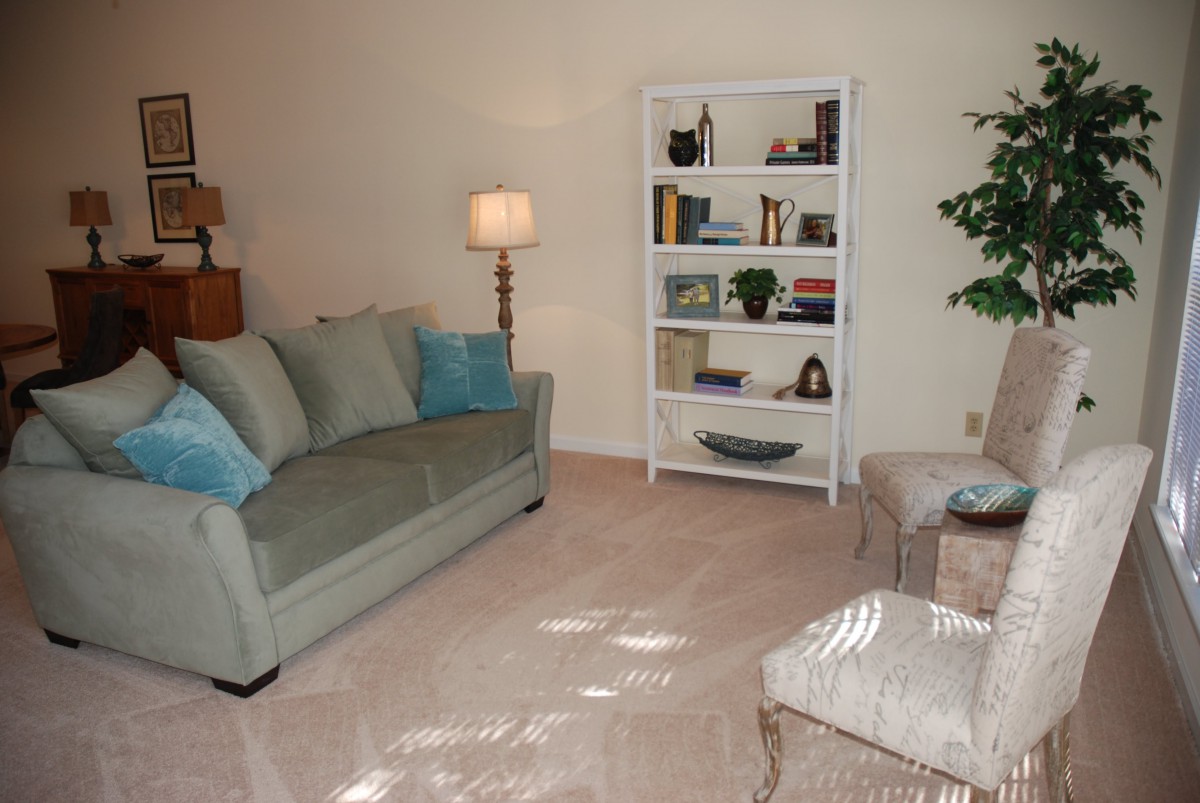 A cozy living room with a sofa, bookshelves, and comfortable seating.