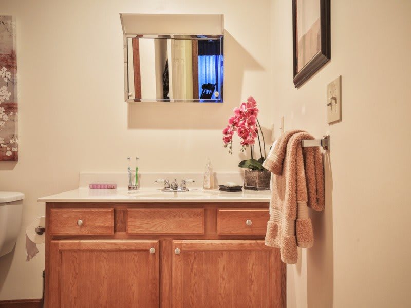 A bathroom with a wooden cabinet, mirror, and an orchid on the countertop.