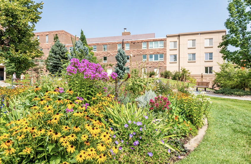 A vibrant garden full of colorful flowers, with buildings in the background.