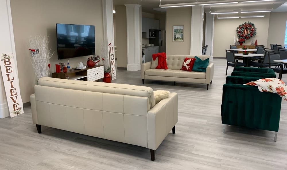 A modern living room with stylish sofas and a television setup.