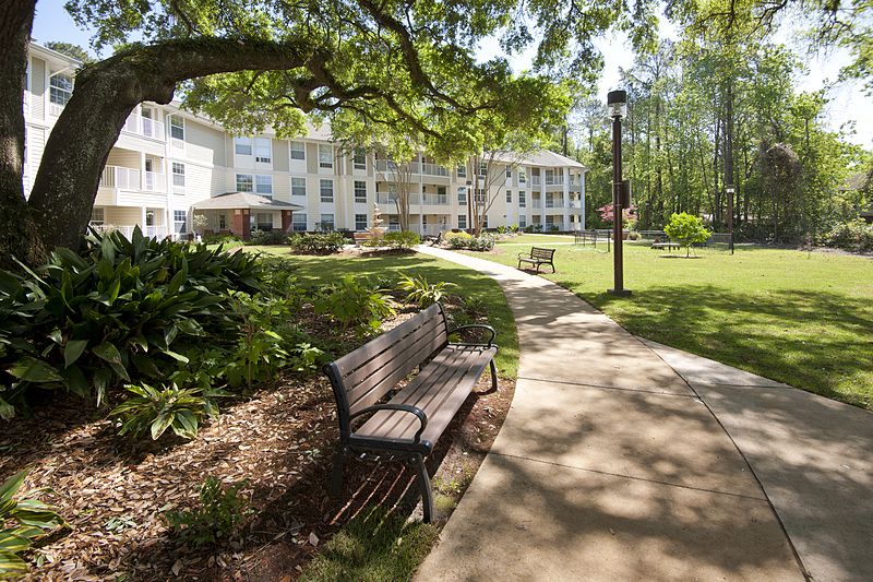 A peaceful park area with a bench, pathway, and a nearby building surrounded by trees and greenery.