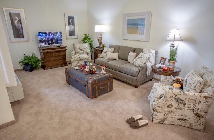 A cozy living room with a sofa, television, and coffee table, adorned with various decor items and a soft carpet.