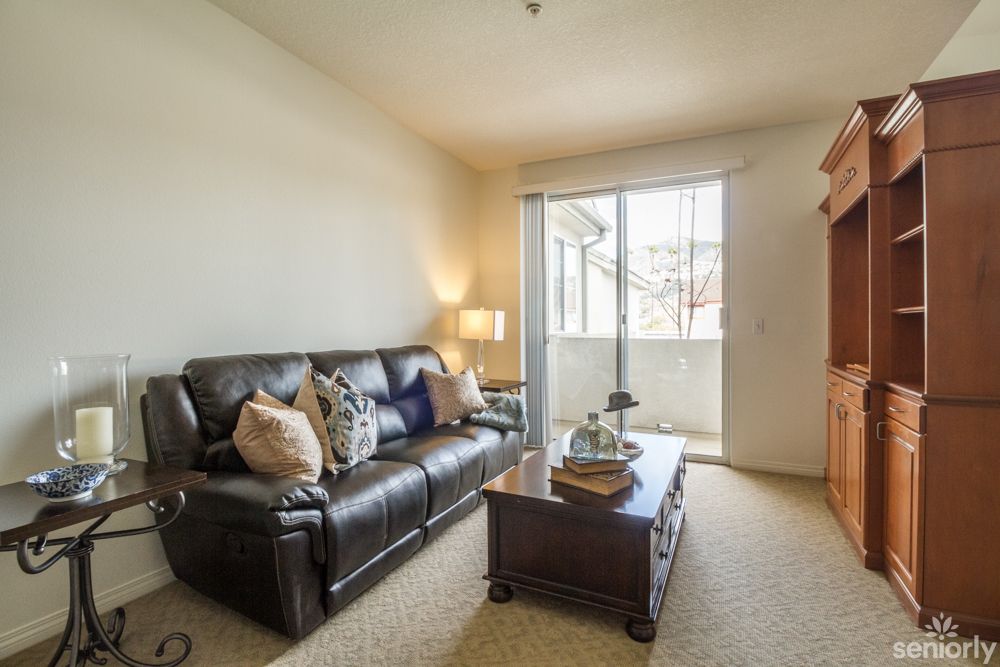 A cozy living room with a leather sofa, decorative pillows, and a wooden coffee table in front of a large window.