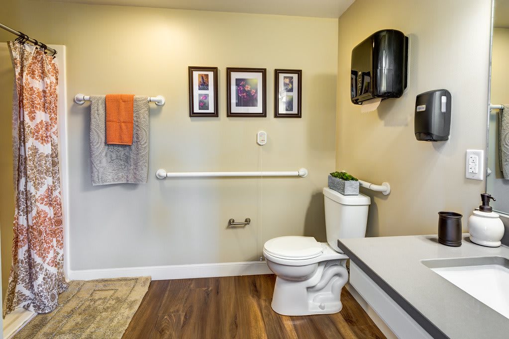 A clean, well-organized bathroom with a toilet, sink, and handrails for accessibility.