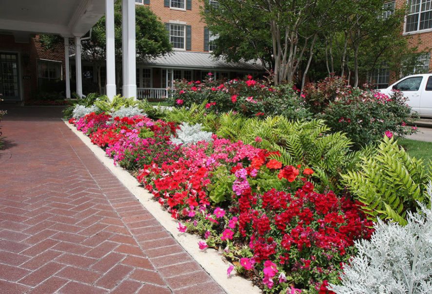 Caruth Haven Court