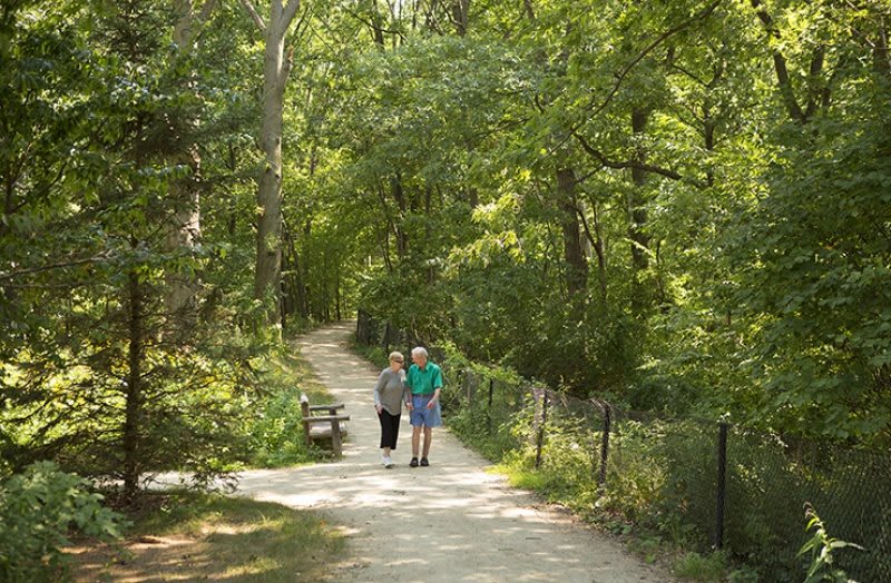A couple walking on a tree-lined pathway in a park.