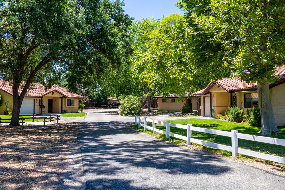 A serene street lined with cottages and lush trees on a sunny day.