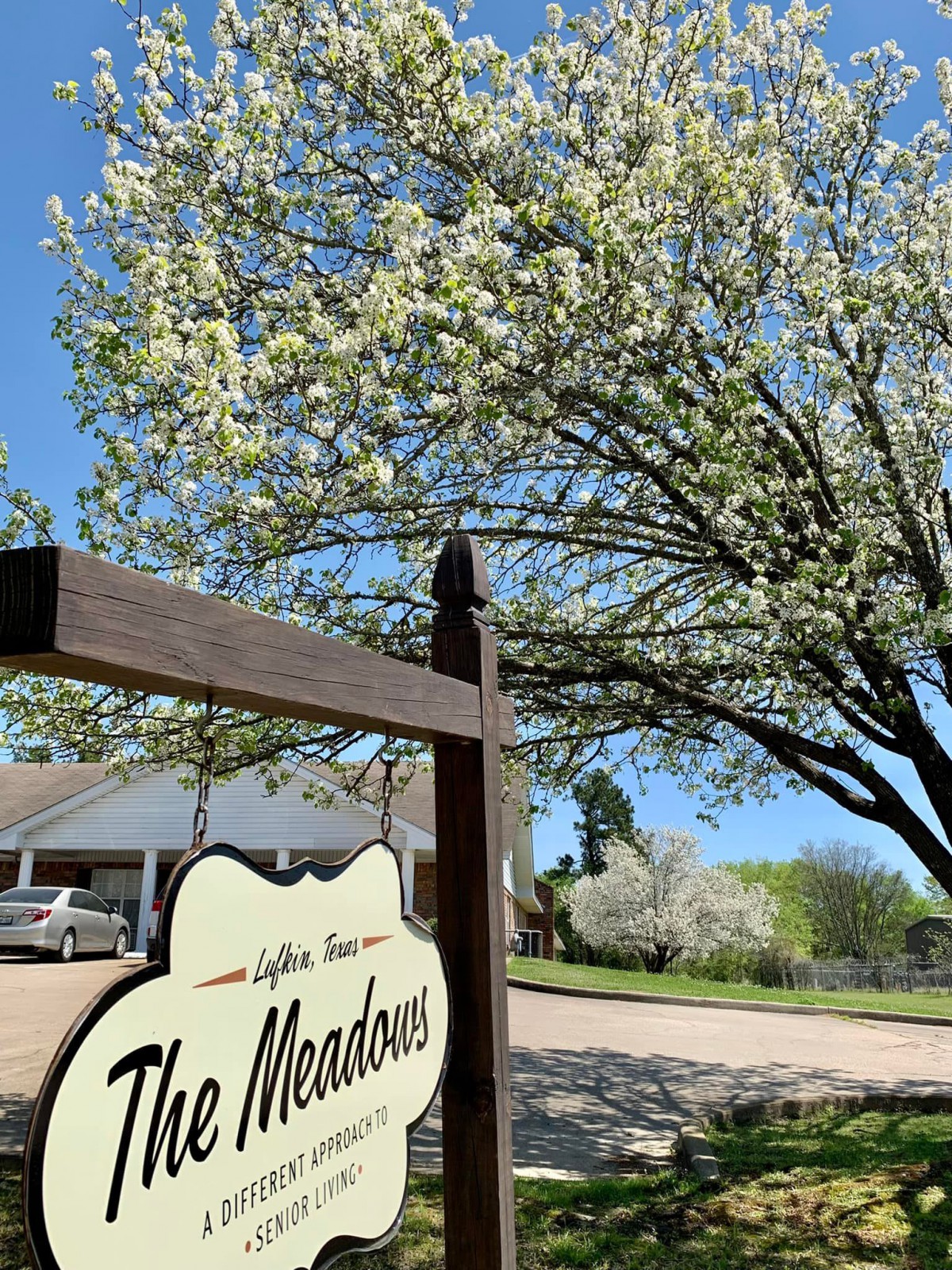 The Meadows