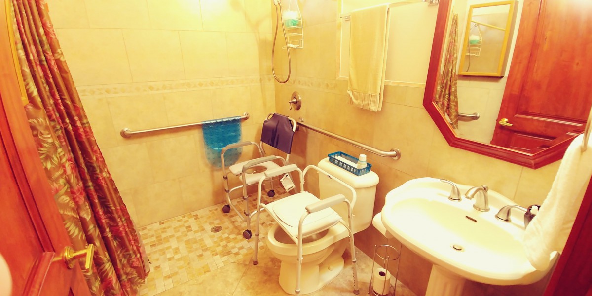 An accessible bathroom equipped with a shower, toilet, and mobility aids.