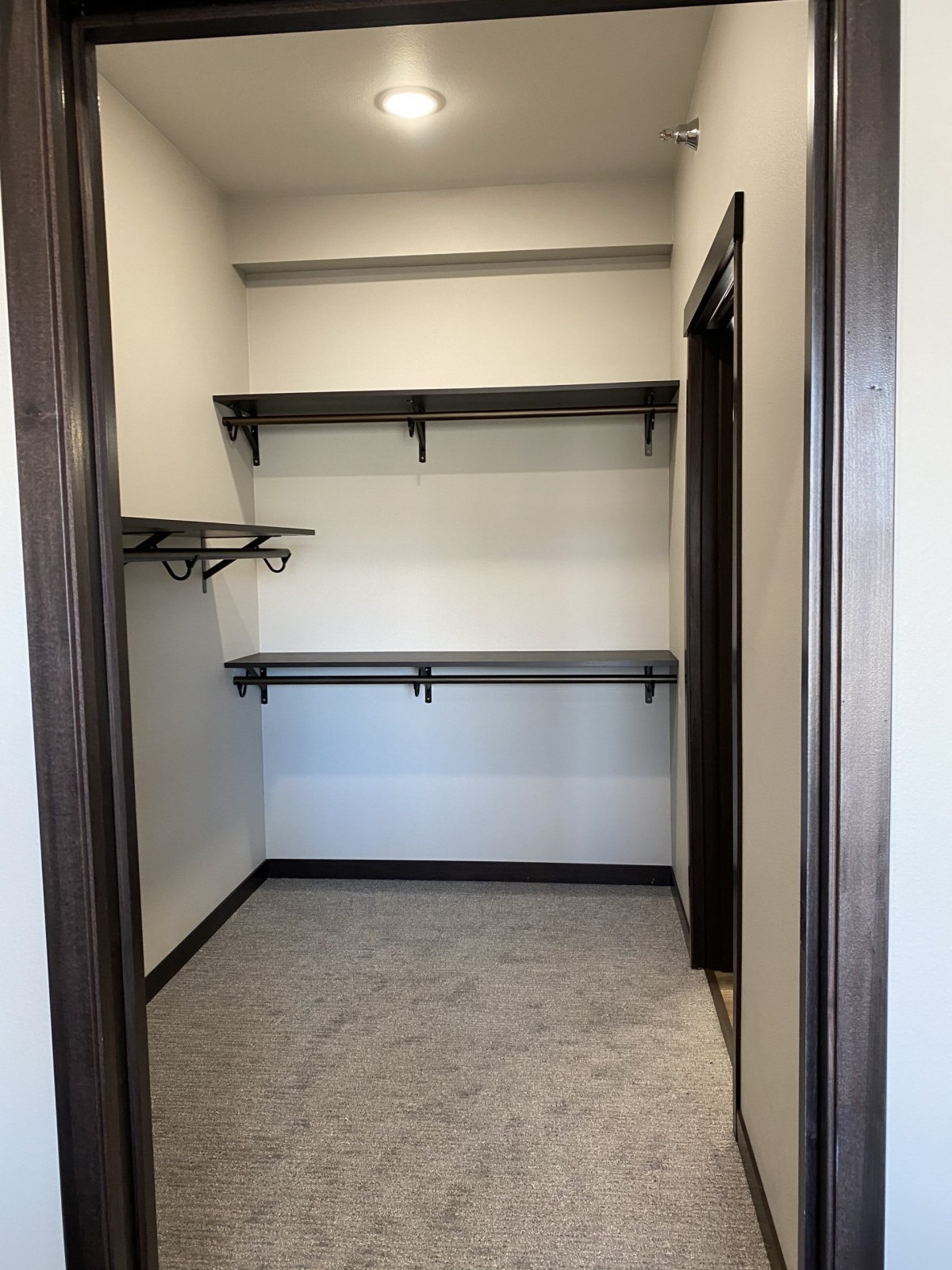 An empty walk-in closet with shelving for storage and organization.