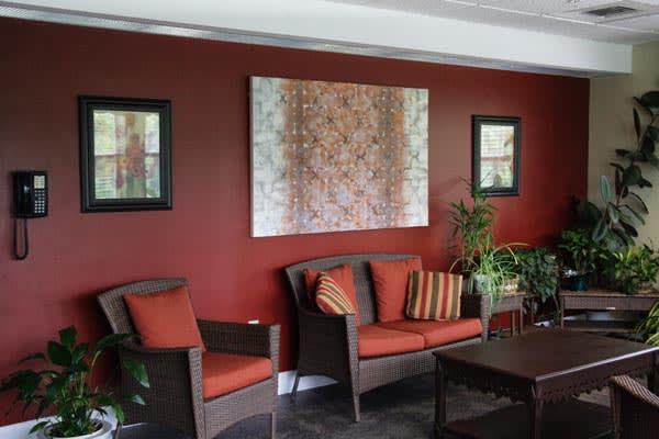 A cozy living room with red walls, featuring a comfortable sofa, decorative artwork, and indoor plants.