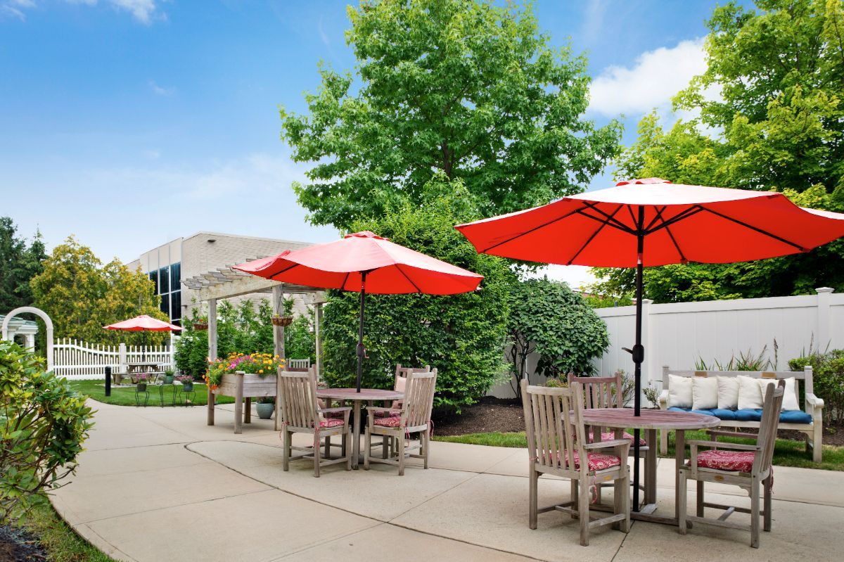 A sunny outdoor patio with tables and red umbrellas surrounded by lush greenery.