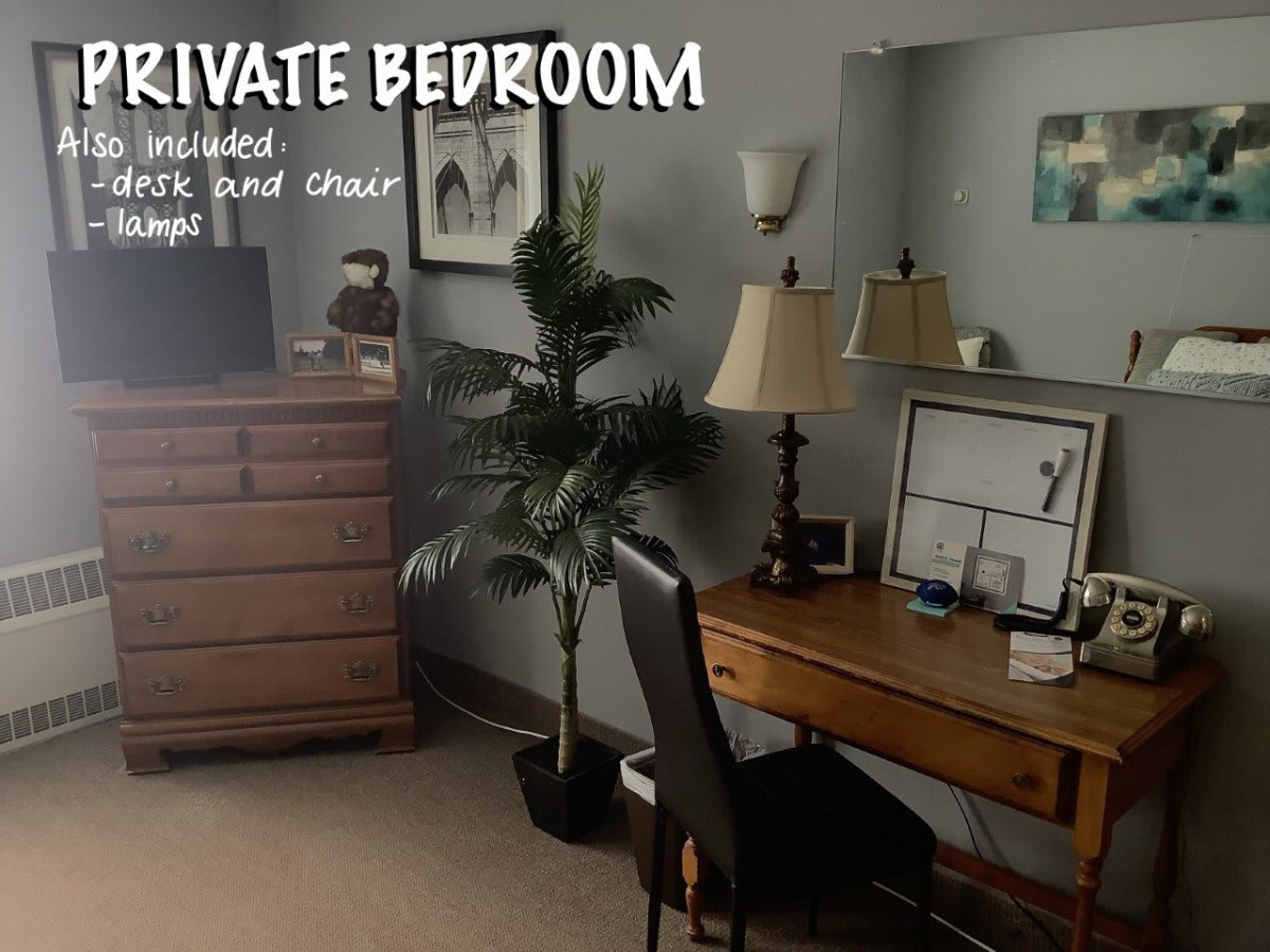 A private bedroom featuring a desk with a chair and lamp, alongside a dresser and decorative plant.