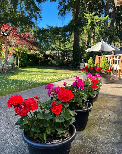 A vibrant flower arrangement brightens up the garden on a sunny day.
