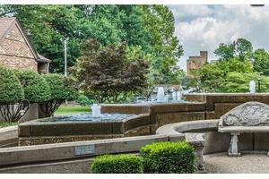 A serene park setting featuring a flowing fountain surrounded by lush greenery.