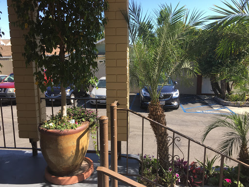 A sunny view from a porch showcasing palm trees and parked cars in a residential area.