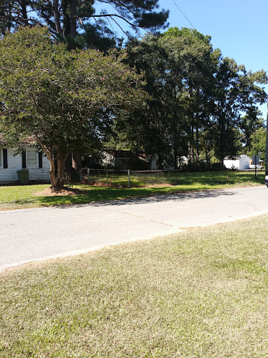 A peaceful residential street lined with trees and greenery.