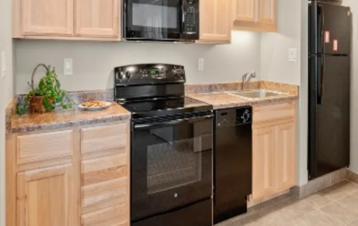 Modern kitchen with black appliances and wooden cabinets.
