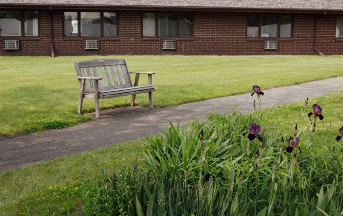 A small dog walks along a path next to a wooden bench and garden in a grassy area outside a building.