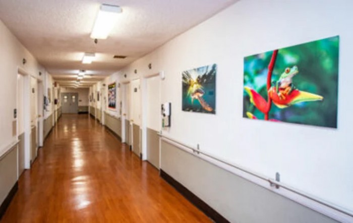 A hospital hallway featuring colorful artwork on the walls.