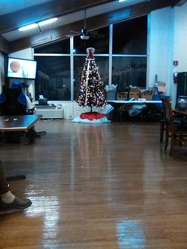 A cozy community space featuring a beautifully decorated Christmas tree, illuminated against the backdrop of evening light.