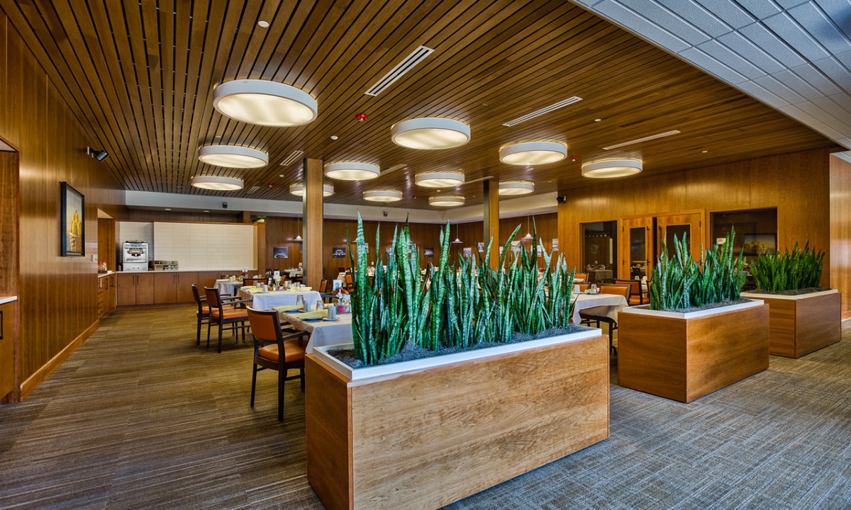 A contemporary restaurant interior featuring modern lighting, wooden furniture, and decorative plants.