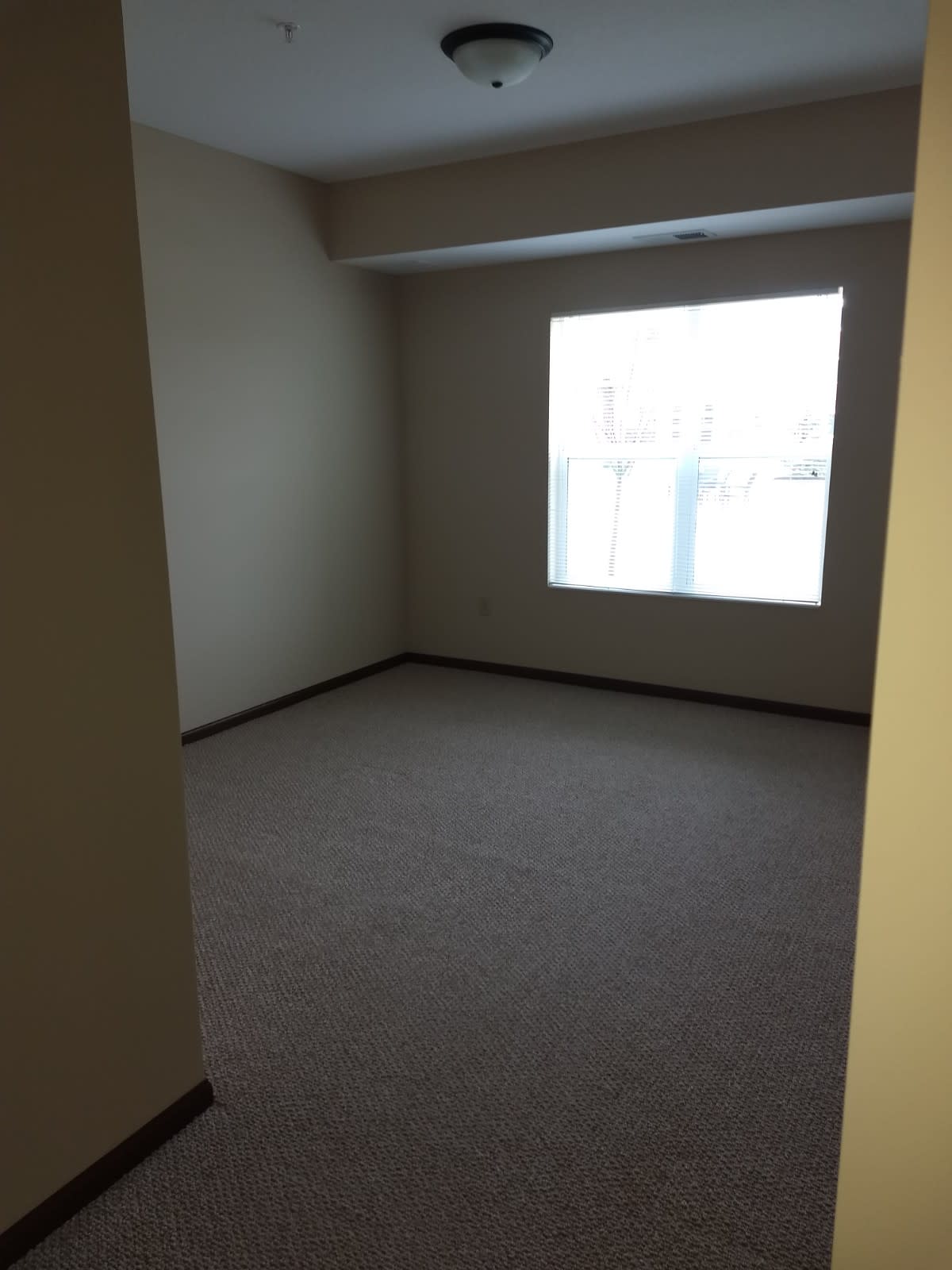 An empty room with a large window and carpeted floor.