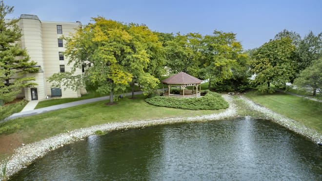 A peaceful gazebo by the lake surrounded by lush trees.