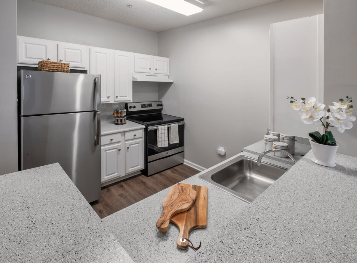 Modern kitchen with stainless steel appliances and a clean countertop.