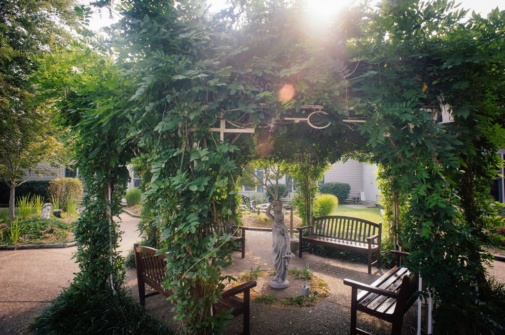 A serene garden with a lush pergola, benches, and a statue basking in sunlight.