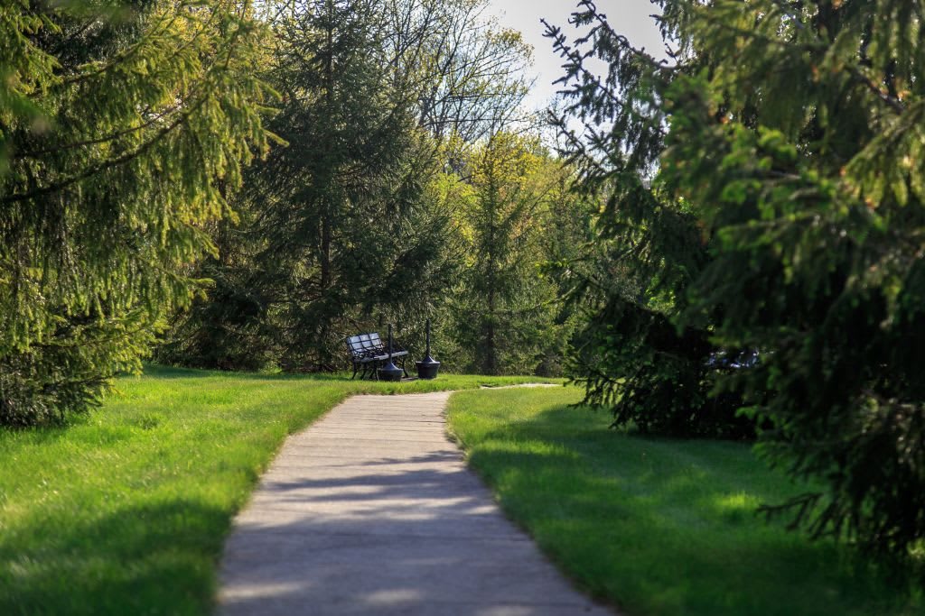 A peaceful park scene with a pathway leading to a bench surrounded by lush trees.