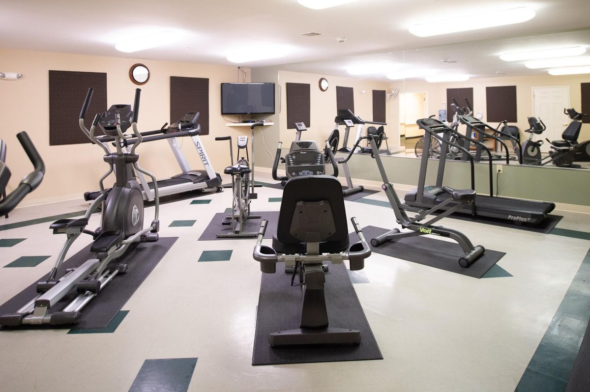 A modern gym with various cardio equipment including treadmills, ellipticals, and stationary bikes.