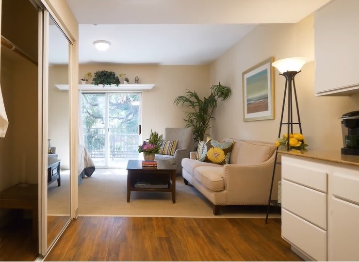 A cozy living room with a modern design featuring a comfortable sofa, coffee table, floor lamp, and decorative plants.