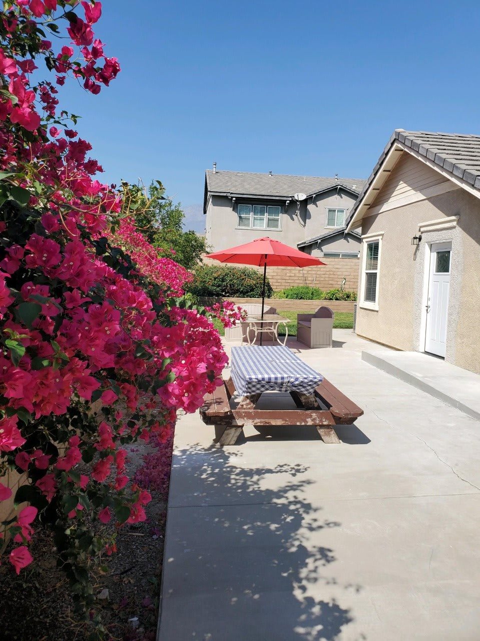A sunny backyard patio with blooming bougainvillea and outdoor seating.