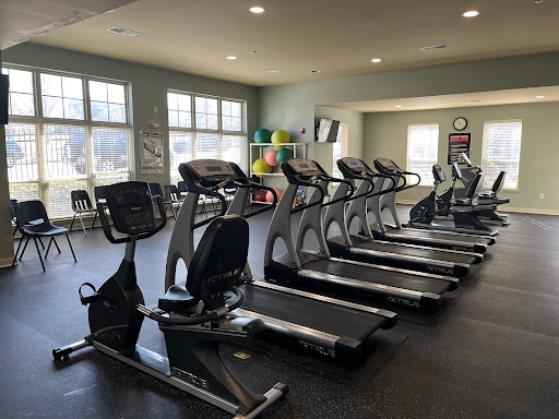 A well-equipped gym featuring multiple treadmills and ellipticals, perfect for a workout session.