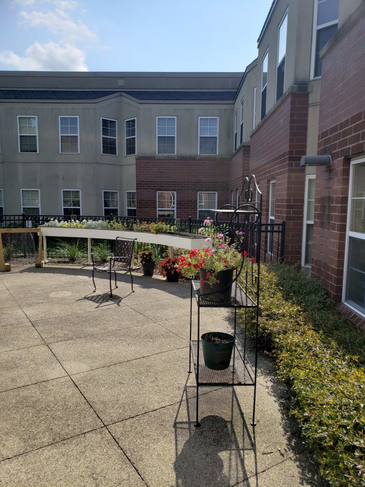 A sunny courtyard with potted plants and surrounding buildings.