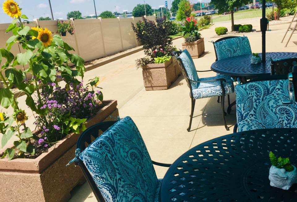 A sunny patio with outdoor furniture and vibrant plants.