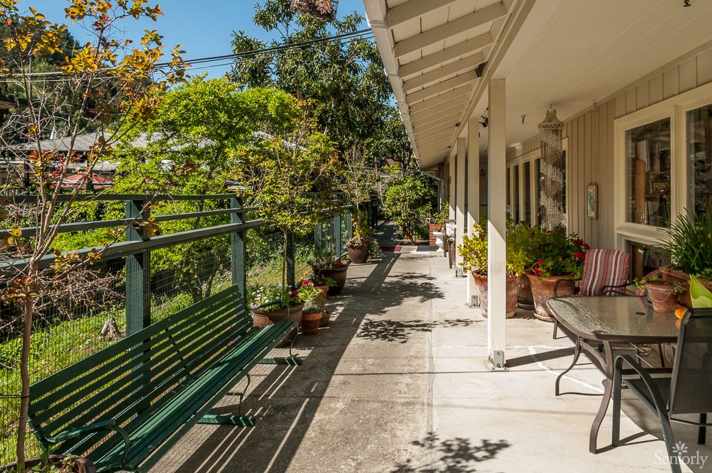 A sunny patio with a walkway lined by various potted plants and a bench.