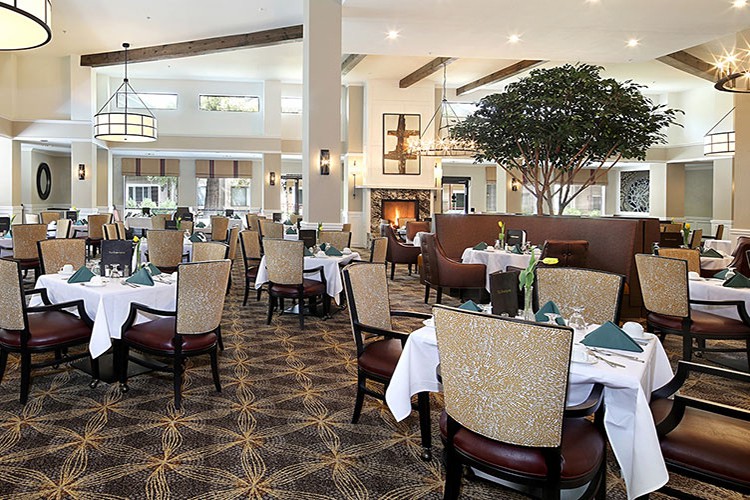 Elegant restaurant dining area with neatly arranged tables and chairs.