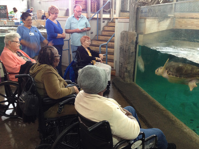 Elderly individuals enjoying an interactive aquarium experience, observing aquatic life.