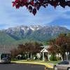 A picturesque view of snow-capped mountains with a foreground of trees, buildings, and parked cars under a blue sky.