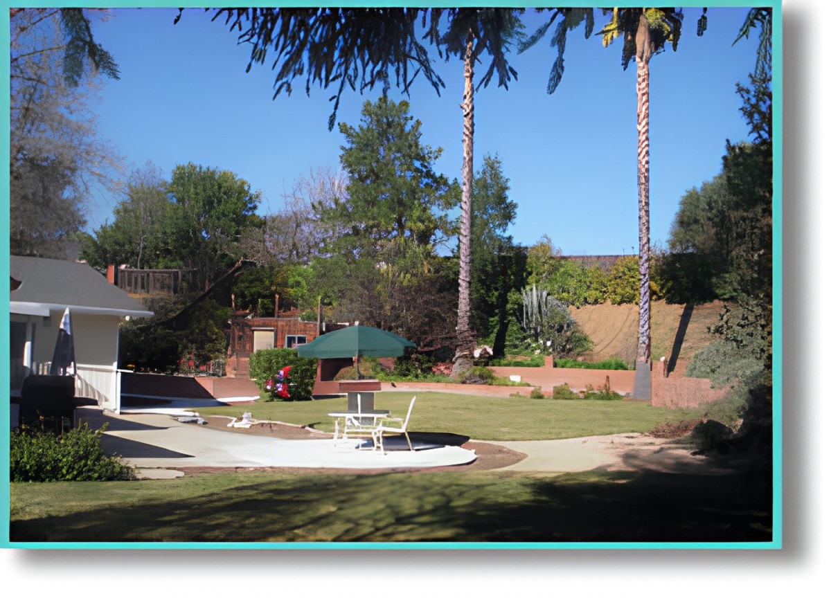 A sunny garden with palm trees, patio furniture, and a well-maintained lawn.