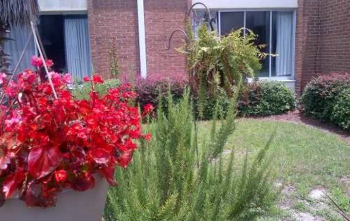 A vibrant garden with red flowers and lush greenery in front of a brick building.