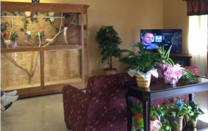 A cozy living room with a television, indoor plants, and a large bird cage.