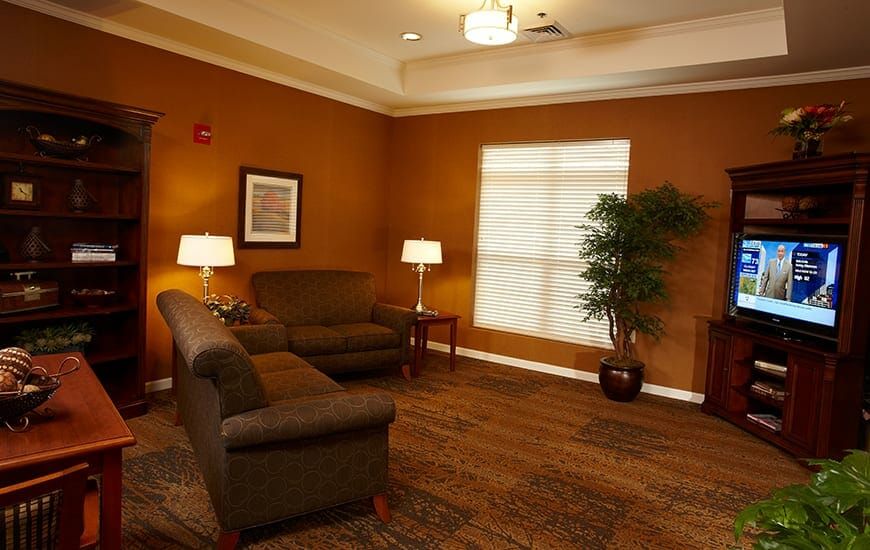 A cozy living room with two sofas, lamps, and an indoor plant.