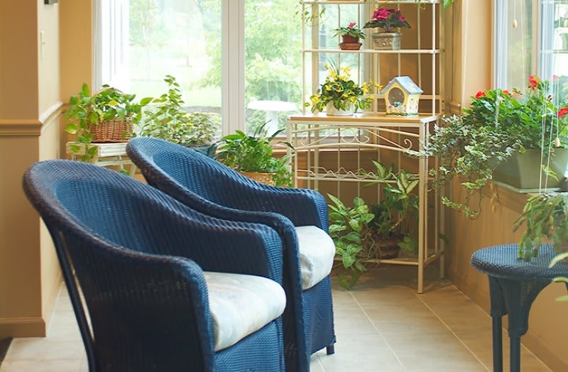A cozy sunroom with blue rattan chairs and a variety of green plants.
